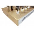 Canary Audio M3000 Monoblock Amplifiers