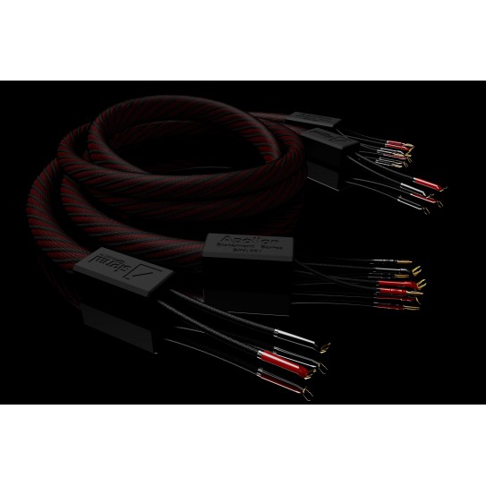 Signal projects Apollon Speakers cables 