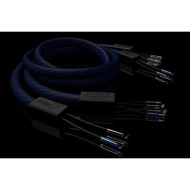 Signal projects Atlantis Speakers cables 