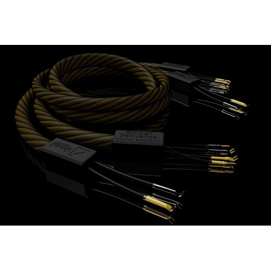 Signal projects Golden Sequence Speakers cables 