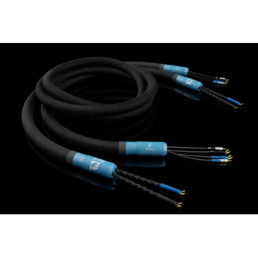 Hydra Speaker Cables