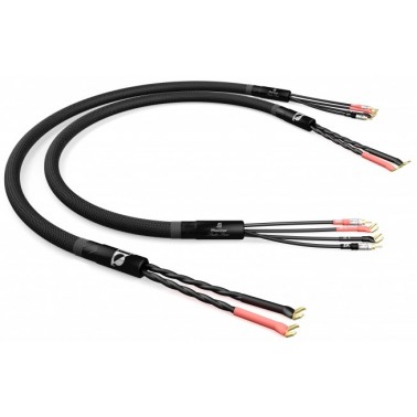 Monitor Speaker Cables