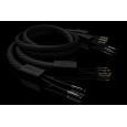 Signal projects Andromeda Speakers cables 