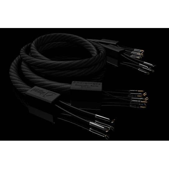 Signal projects Andromeda Speakers cables 