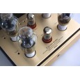 Canary Audio M350 Monoblock Amplifiers