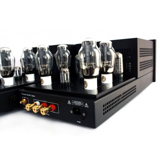 Canary Audio M600 Monoblock Amplifiers
