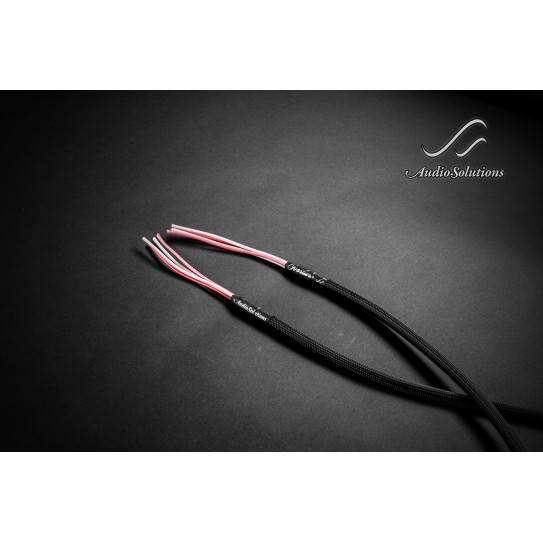 Audio Solutions Overture speaker cable 