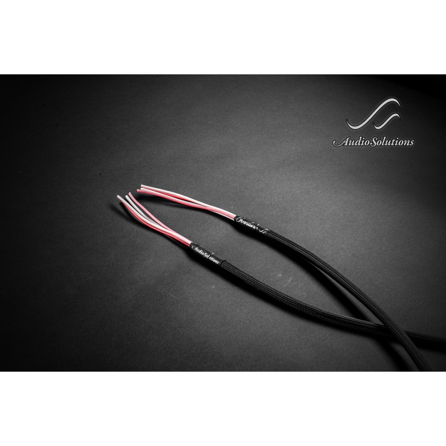 Audio Solutions Overture speaker cable 