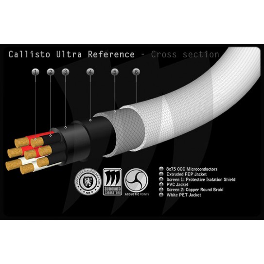 Audiomica Callisto ultra reference M1